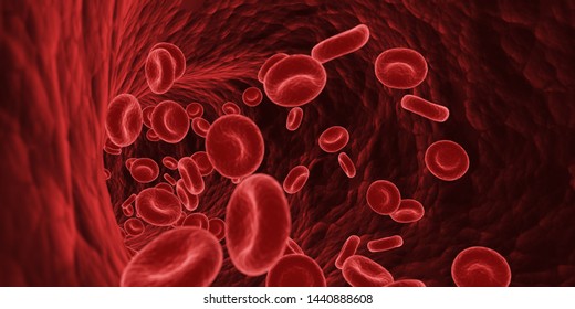 3d Rendered Medically Accurate Illustration Of Blood Cells In A Human Artery