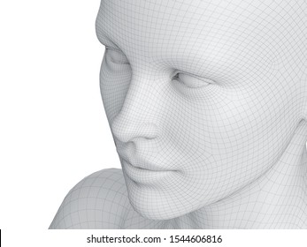 3d Rendered Medically Accurate Illustration Of A Female Wireframe Face