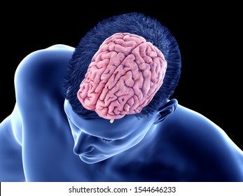 3d ilustración médicamente exacta de la anatomía cerebral - la corteza