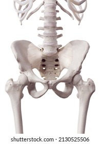 3d rendered medically accurate illustration of the sacroiliac ligament