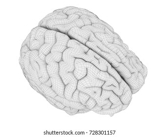 白い背景にスタイル化された三角形のワイヤフレームを使用した 上面図のモノクロ彫刻の脳イラスト のベクター画像素材 ロイヤリティフリー Shutterstock