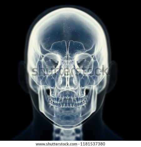 Similar – Image, Stock Photo Primate skull Primacy