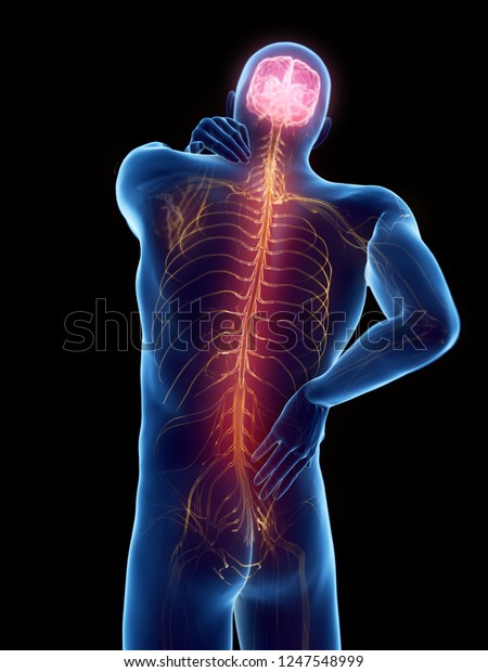 3d Rendered Medically Accurate Illustration Man Stock Illustration ...