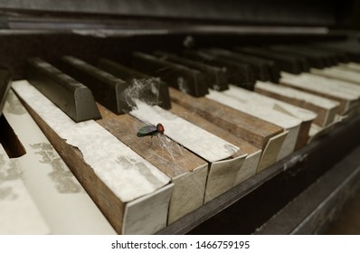 3D rendered old, broken piano with a dead fly in a spiderweb.