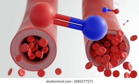 3D rendered visualization illustrates the molecular and cellular dynamics of vasodilation, focusing on the role of nitric oxide in modulating vascular tone.