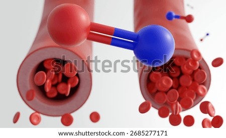 3D rendered visualization illustrates the molecular and cellular dynamics of vasodilation, focusing on the role of nitric oxide in modulating vascular tone.