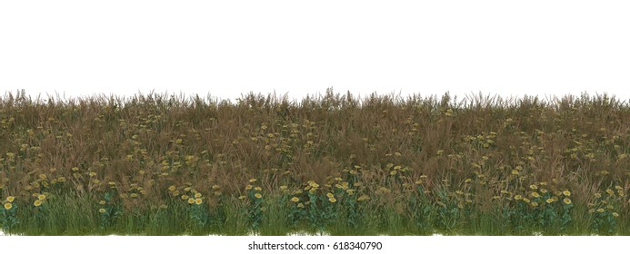 3d Rendered  Yellow Daisy And Green Grass Field With Alpha Channel