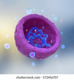 3D Render,illustration.Nucleus, Nucleolus, Human Body Cell. Nucleus Of The Cell. In This Figure It Is Visible The DNA. 