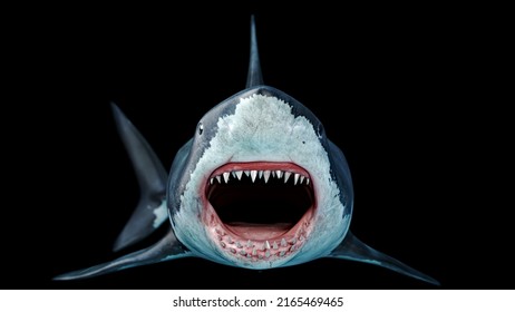 3d Rendering 8k Resolution
Close-up Of A Scary Great White Shark Swimming Underwater Front View
 Megalodon With Big Open Jaw -mouth And Teeth
 Is The Most Predator Shark In The Ocean.8k 3D Rendering