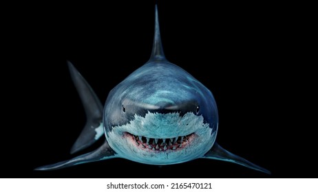 3.ª representación de 8.000 resolución
Primer plano de un tiburón blanco que da miedo nadando bajo el agua Vista frontal
 Megalodon es el tiburón más depredador del océano.8k 3D Rendering