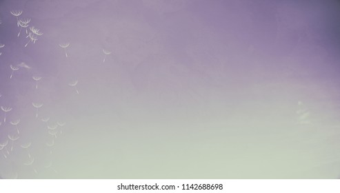 The 3d rendering of abstract clear space with beautiful dandelion on the sky