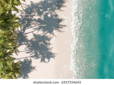 3d rendering of an aerial view of a sandy tropical beach with the shadows of palm trees cast upon it, next to clear ocean waters. Serene vacation concept.