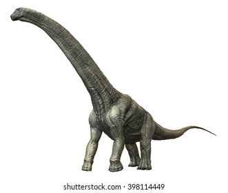 3D Rendering Of Alamosaurus.