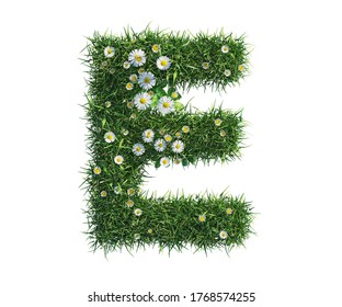 3d rendering of Alphabet Capital letter E made of grass and daisy flower. high resolution image in isolated white background
