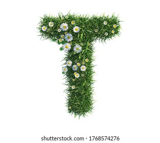 3d Rendering Of Alphabet Capital Letter T, Made Of Grass And Daisy Flower. High Resolution Image In Isolated White Background