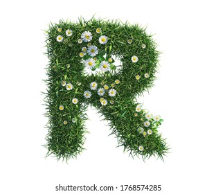 3d rendering of Alphabet Capital letter R, made of grass and daisy flower. high resolution image in isolated white background