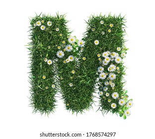 3d rendering of Alphabet Capital letter M, made of grass and daisy flower. high resolution image in isolated white background
