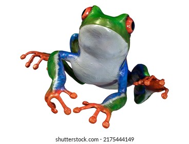 3D rendering of an Amazon tree frog isolated on white background