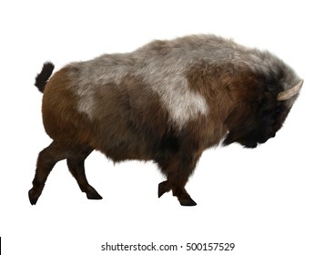 3d Digital Render American Bison American Stock Illustration 258541946