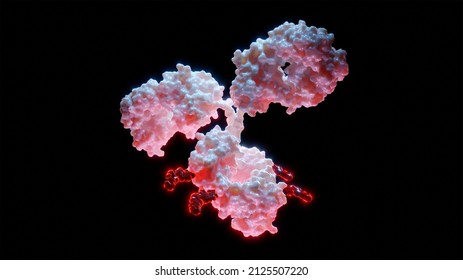 3D Rendering Of Antibody Drug Conjugate - ADC