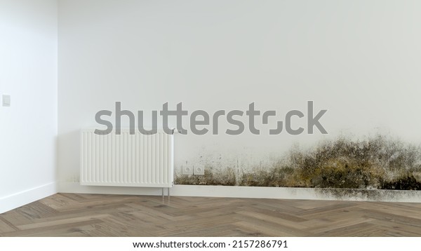 3D rendering of an apartment wall with mold damage\
and lots of copy\
space