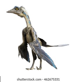3D rendering of Archaeopteryx.