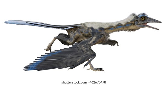 3D rendering of Archaeopteryx.