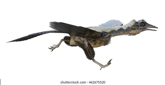 3D rendering of Archaeopteryx.