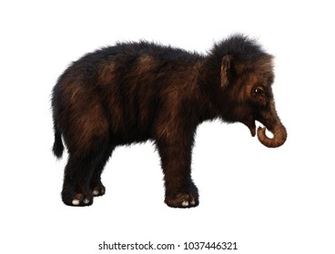 3D Rendering Of A Baby Woolly Mammoth Isolated On White Background