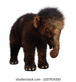 3D Rendering Of A Baby Woolly Mammoth Isolated On White Background