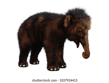 3D Rendering Of A Baby Woolly Mammoth Isolated On White Background