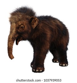 3D Rendering Of A Baby Woolly Mammoth Isolated On White Background