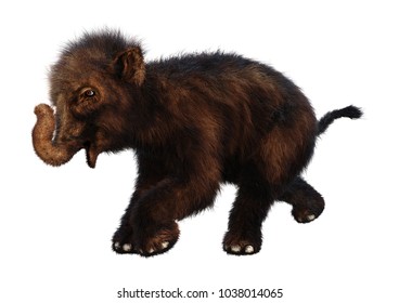 3D Rendering Of A Baby Woolly Mammoth Isolated On White Background