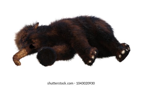 3D Rendering Of A Baby Woolly Mammoth Isolated On White Background