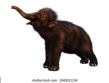 3D Rendering Of A Baby Woolly Mammoth Isolated On White Background