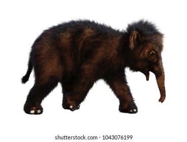 3D Rendering Of A Baby Woolly Mammoth Isolated On White Background