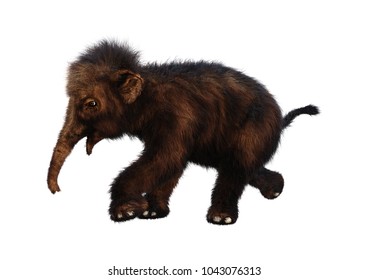 3D Rendering Of A Baby Woolly Mammoth Isolated On White Background