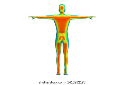 3d Rendering. Back Side Of Human Body Scan By Infrared Ray Structure Measure With Clipping Path Isolated On White Background.