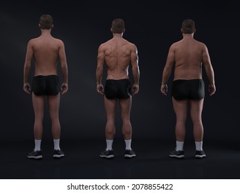 3D Rendering : Back view of standing male body type : ectomorph (skinny type), mesomorph (muscular type), endomorph(heavy weight type)

