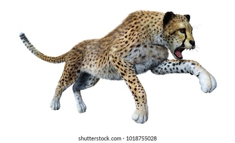 3D Rendering Of A Big Cat Cheetah Isolated On White Background