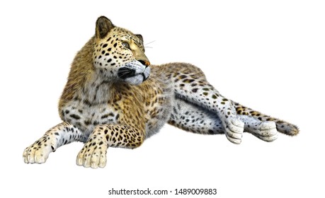 3D Rendering Of A Big Cat Leopard Isolated On White Background