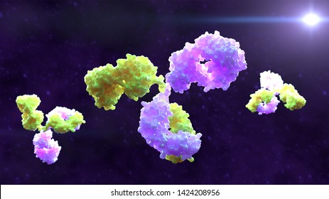 3D rendering of bispecific monoclonal antibody molecules
