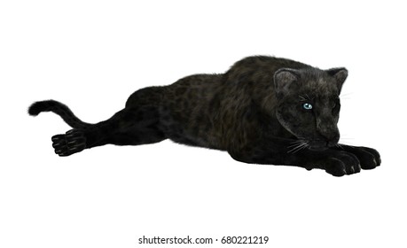 3D Rendering Of A Black Panther Isolated On White Background