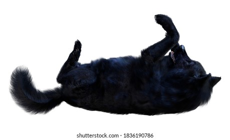 3D rendering of a black wolf isolated on white background
