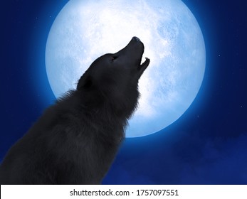 Black Wolf 3d Wallpaper Image Num 93