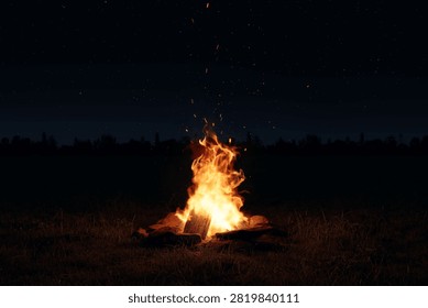 3D Rendering of a bright campfire in a open field under starry sky