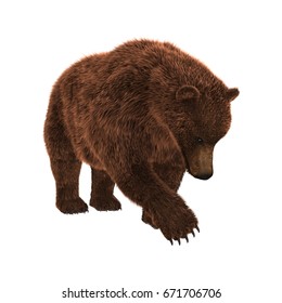 34,419 Grizzly bear isolated Images, Stock Photos & Vectors | Shutterstock