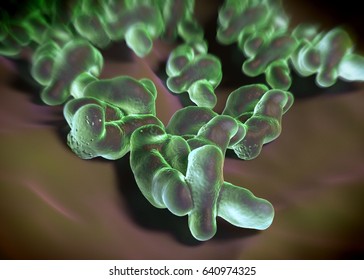 3d Rendering - Campylobacter Jejuni Bacteria