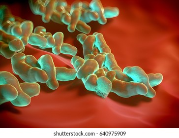 145 Campylobacter Jejuni Bacteria Images, Stock Photos & Vectors ...