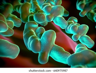 3d Rendering - Campylobacter Jejuni Bacteria